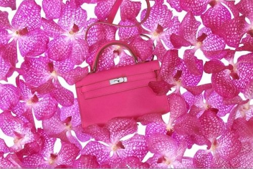 hermes tiny_kelly_bags_collection_12_intro