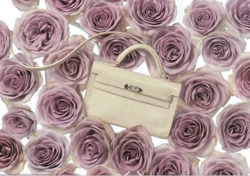 hermes kelly_tiny_bag_spring_2011_flowers_6