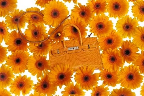 hermes tiny_kelly_bags_collection_4