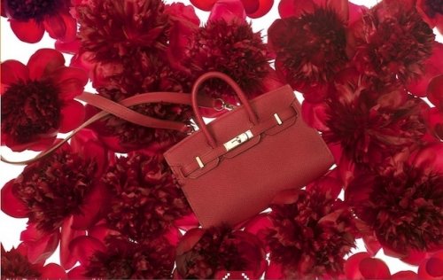 hermes tiny_kelly_bags_collection_10