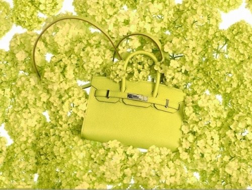 hermes tiny_kelly_bags_collection_11